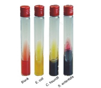 磷酸烯醇丙酮酸單鉀鹽 上海雅吉生物科技的高品質生化試劑解析