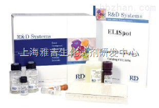 人胃泌素釋放多肽(GRP)免疫組化試劑盒 精準檢測新選擇——上海雅吉生化試劑研發中心